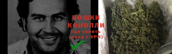 кокс Дмитров