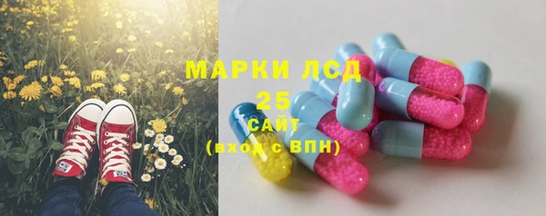 кокс Дмитров