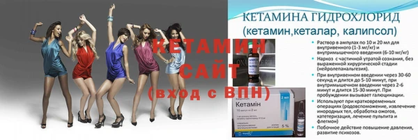 apvp Дмитриев