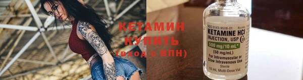 apvp Дмитриев