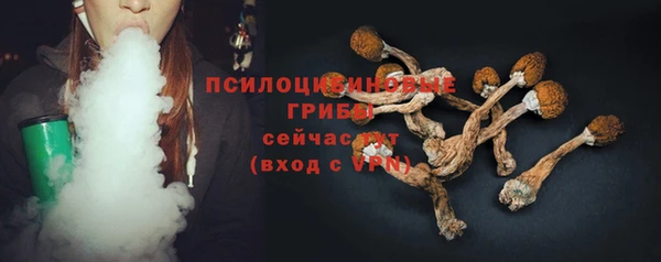 apvp Дмитриев