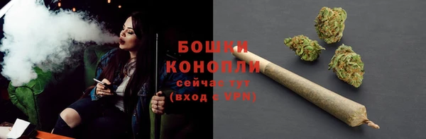 кокс Дмитров