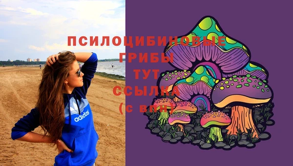 apvp Дмитриев