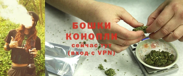 apvp Дмитриев
